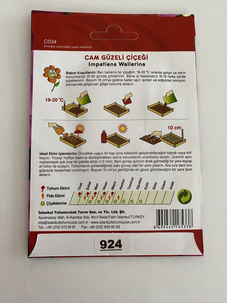 CAM%20GÜZELİ%20(%20ÇOKLU%20TOHUM%20)%20-%20100%20Tohum%20-%20KARIŞIK%20Renk