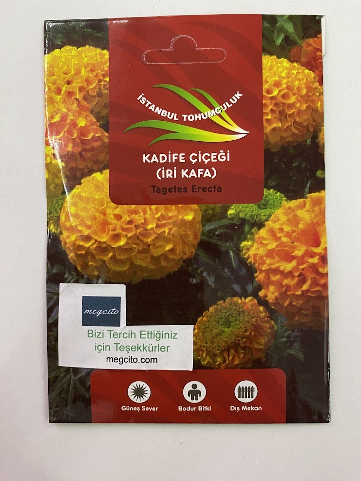 KADİFE%20İRİ%20KAFA%20(%20ÇOKLU%20TOHUM%20)%20-%2075%20Tohum%20-%20KARIŞIK%20Renk